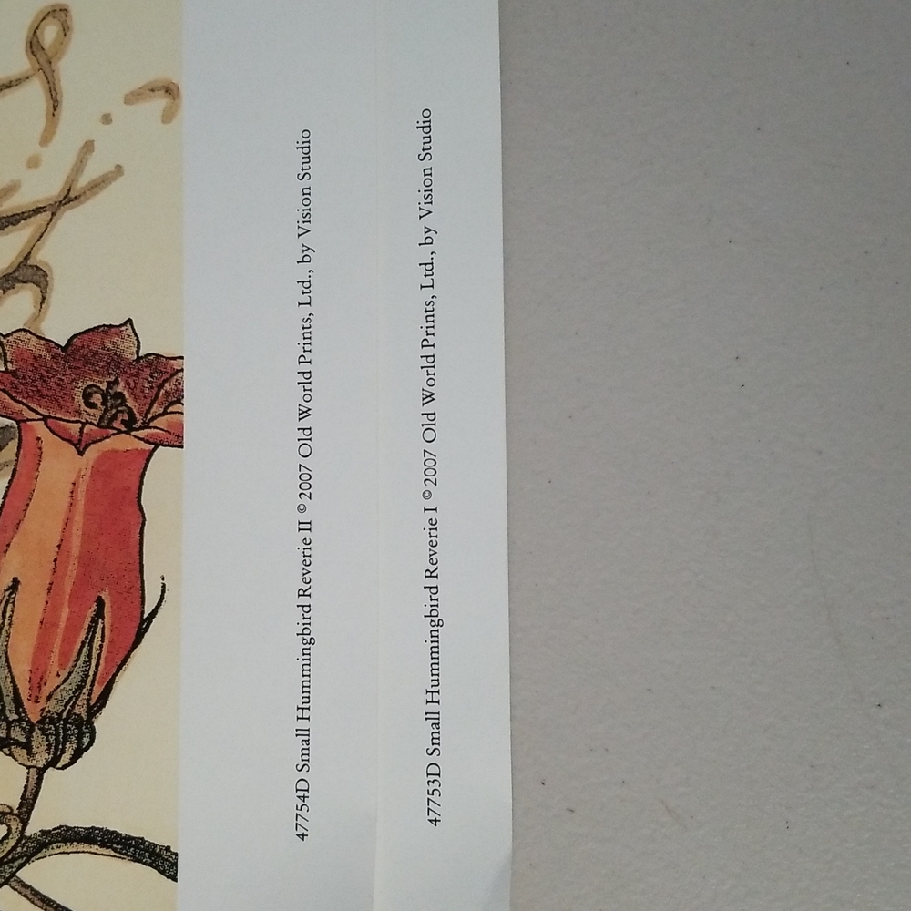 Hummingbird Prints - Picture 4 of 6
